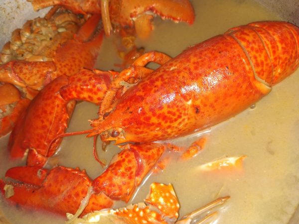 Whole Lobster (Pre-Order Only)